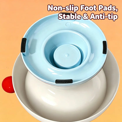 Stainless Steel Cat Bowl Feeder for Cats and Dogs, 3 Color Options, Anti-Slip, Non-Tip, Removable Inner Liner, Easy to Clean