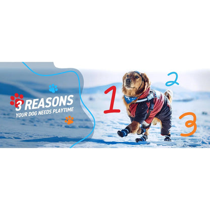 Durable 6-Inch Dog Soccer Ball with Straps - Ideal Outdoor Toy for Small to Medium Dogs and Puppies