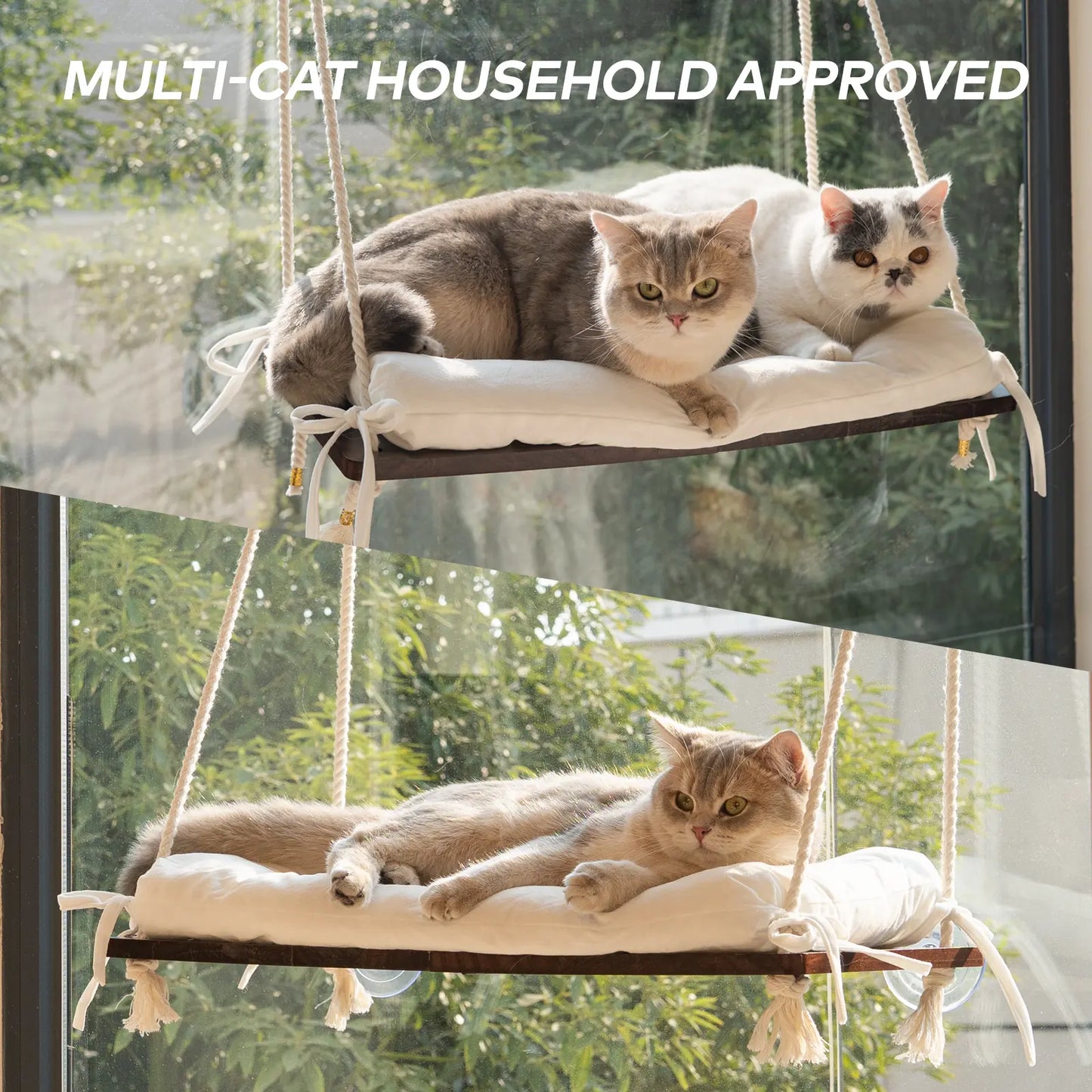 Solid Wood Cat Window Perch with Machine Washable Cusion,Strong Suction Cup, Cat Window Perch for Cats and Small Dog