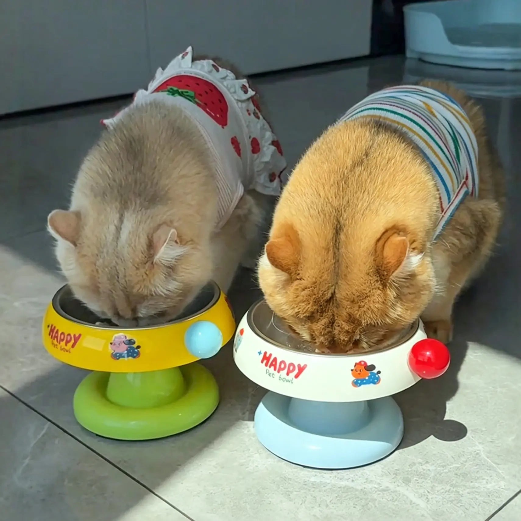 Stainless Steel Cat Bowl Feeder for Cats and Dogs, 3 Color Options, Anti-Slip, Non-Tip, Removable Inner Liner, Easy to Clean