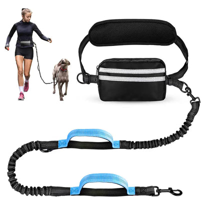 Hands-Free Dual Dog Leash with Waist Bag & Cushioned Pad 